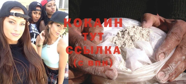 трава Абаза