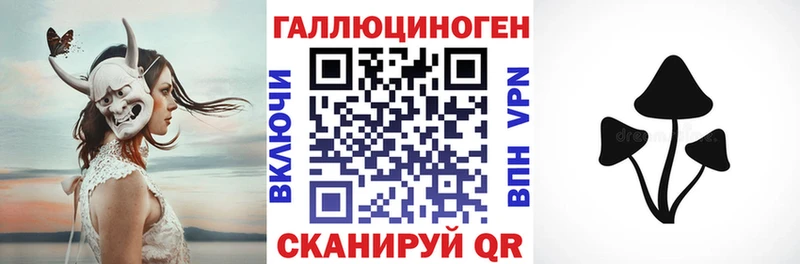 Псилоцибиновые грибы Cubensis  Энем 